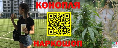 круглые Пугачёв