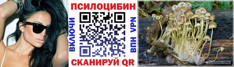 это клад  Шарыпово  Псилоцибиновые грибы мицелий 